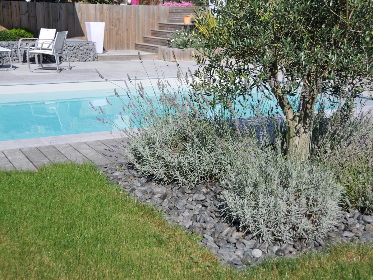 Piscines à Nantes 